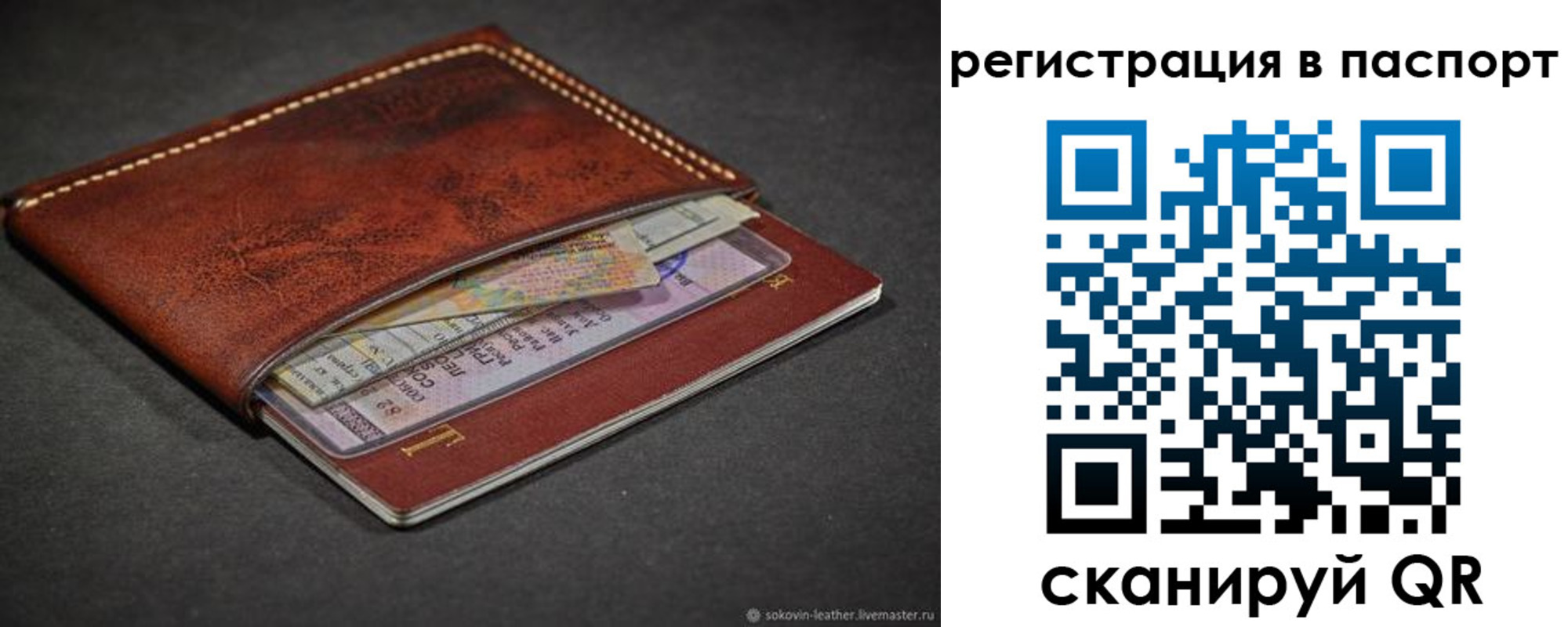 прописка иностранных граждан в Снежинске